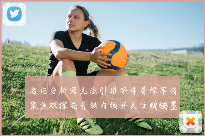 名记分析若无法引进字母哥绿军将聚焦双探花升级内线并关注鹈鹕墨菲